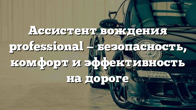 Ассистент вождения professional — безопасность, комфорт и эффективность на дороге