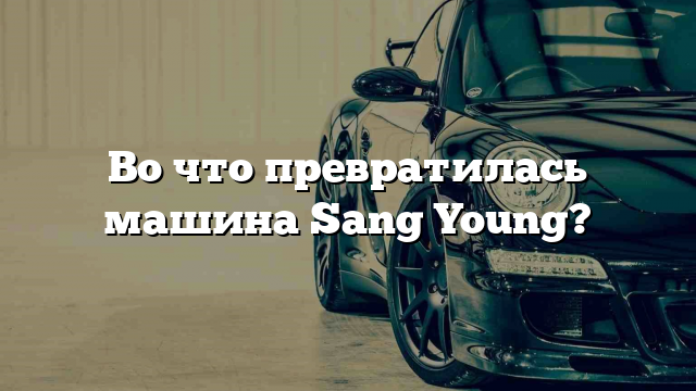 Во что превратилась машина Sang Young?