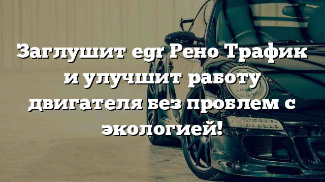 Заглушит egr Рено Трафик и улучшит работу двигателя без проблем с экологией!