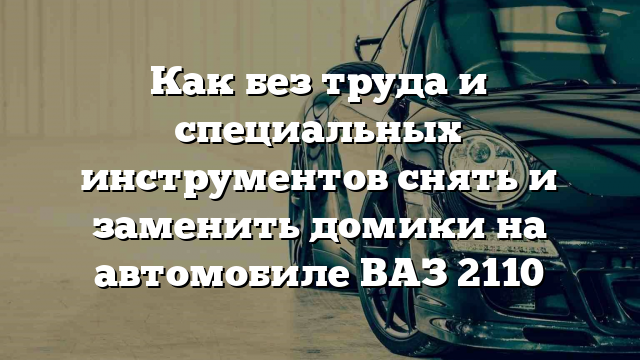 Как без труда и специальных инструментов снять и заменить домики на автомобиле ВАЗ 2110