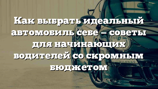 Как выбрать идеальный автомобиль себе — советы для начинающих водителей со скромным бюджетом