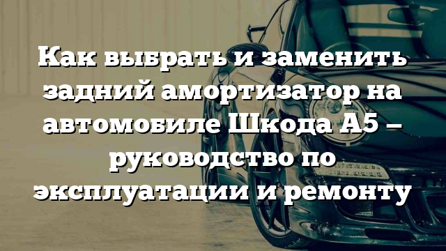 Как выбрать и заменить задний амортизатор на автомобиле Шкода А5 — руководство по эксплуатации и ремонту