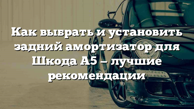 Как выбрать и установить задний амортизатор для Шкода А5 — лучшие рекомендации