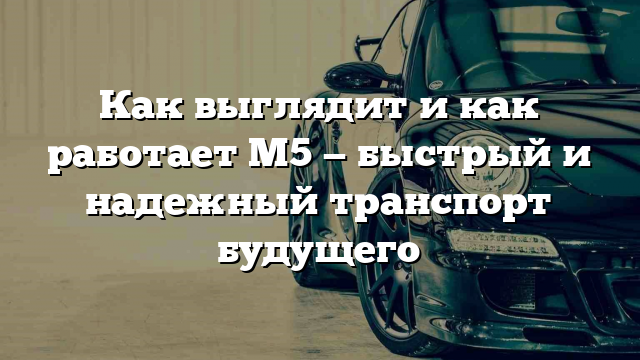 Как выглядит и как работает М5 — быстрый и надежный транспорт будущего