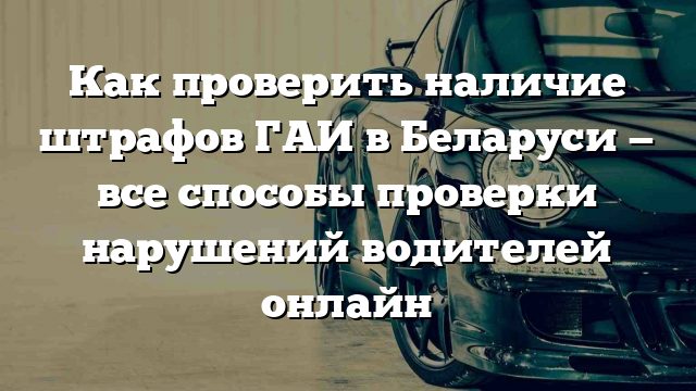 Как проверить наличие штрафов ГАИ в Беларуси — все способы проверки нарушений водителей онлайн