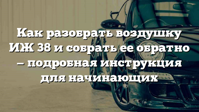 Как разобрать воздушку ИЖ 38 и собрать ее обратно — подробная инструкция для начинающих