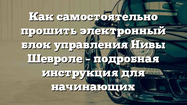 Как самостоятельно прошить электронный блок управления Нивы Шевроле – подробная инструкция для начинающих