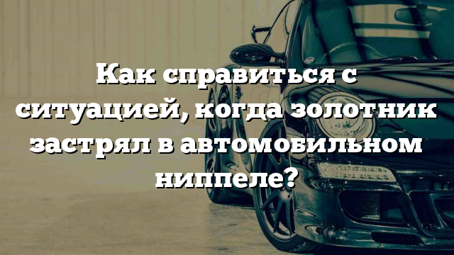 Как справиться с ситуацией, когда золотник застрял в автомобильном ниппеле?