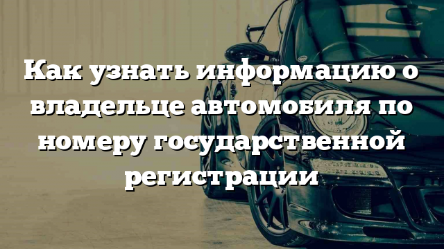 Как узнать информацию о владельце автомобиля по номеру государственной регистрации