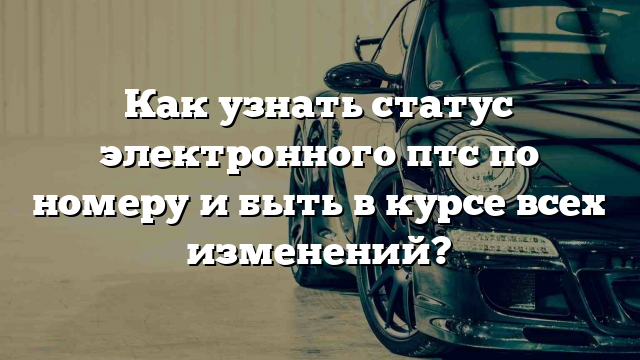 Как узнать статус электронного птс по номеру и быть в курсе всех изменений?