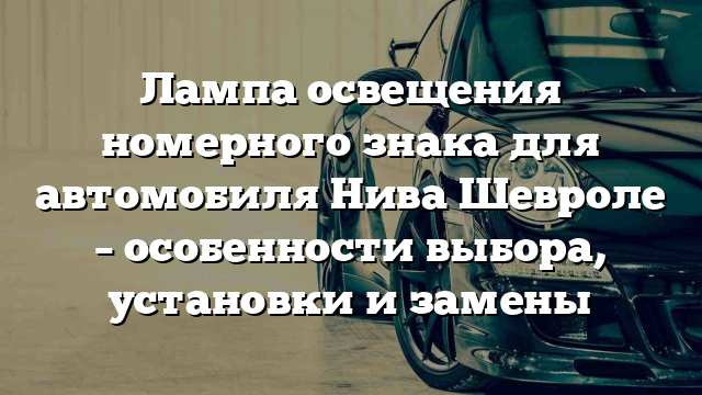 Лампа освещения номерного знака для автомобиля Нива Шевроле – особенности выбора, установки и замены