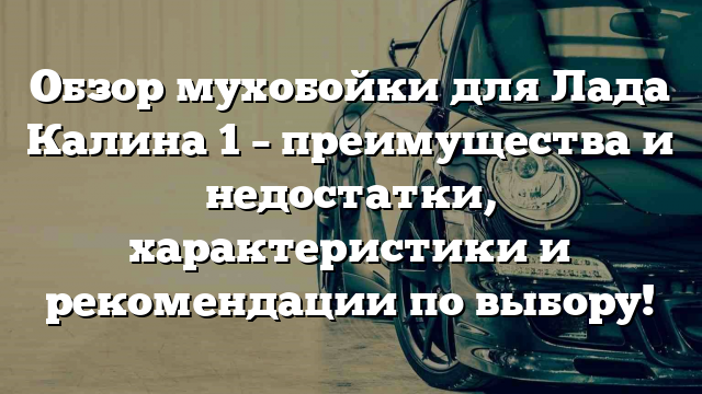 Обзор мухобойки для Лада Калина 1 – преимущества и недостатки, характеристики и рекомендации по выбору!