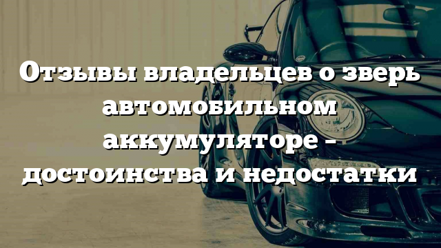 Отзывы владельцев о зверь автомобильном аккумуляторе – достоинства и недостатки