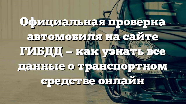 Официальная проверка автомобиля на сайте ГИБДД — как узнать все данные о транспортном средстве онлайн