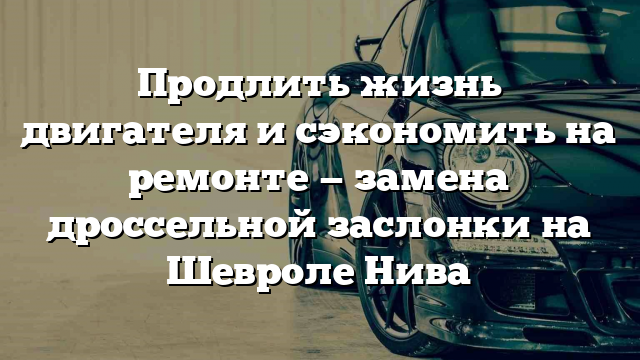 Продлить жизнь двигателя и сэкономить на ремонте — замена дроссельной заслонки на Шевроле Нива