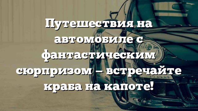 Путешествия на автомобиле с фантастическим сюрпризом — встречайте краба на капоте!