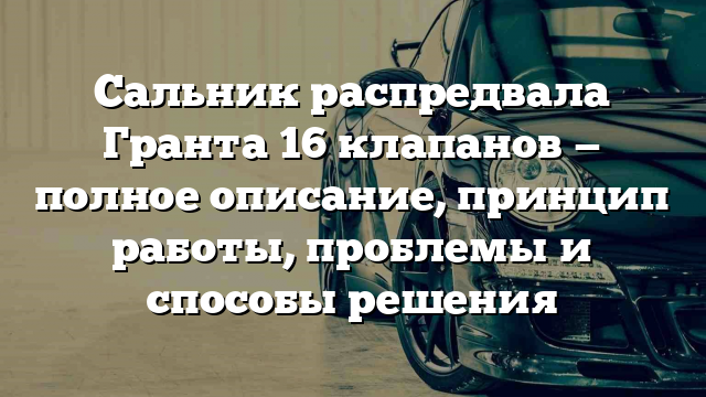 Сальник распредвала Гранта 16 клапанов — полное описание, принцип работы, проблемы и способы решения