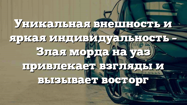 Уникальная внешность и яркая индивидуальность – Злая морда на уаз привлекает взгляды и вызывает восторг