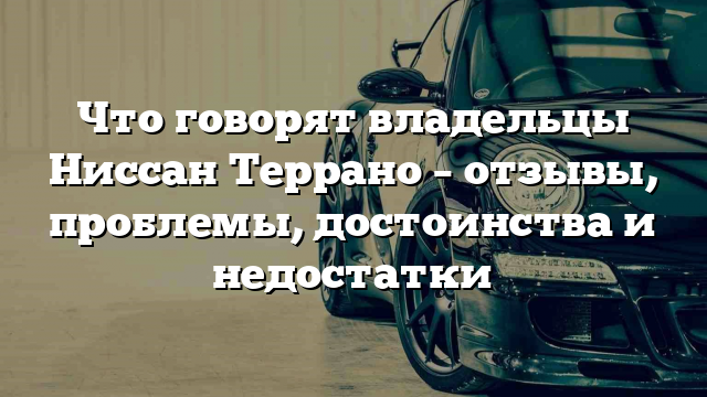 Что говорят владельцы Ниссан Террано – отзывы, проблемы, достоинства и недостатки