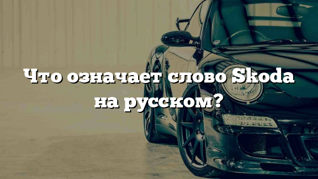 Что означает слово Skoda на русском?