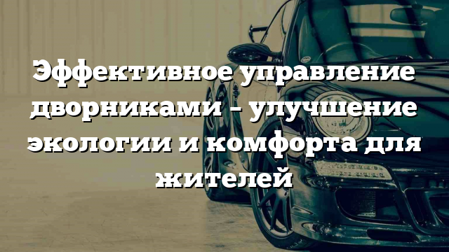 Эффективное управление дворниками – улучшение экологии и комфорта для жителей