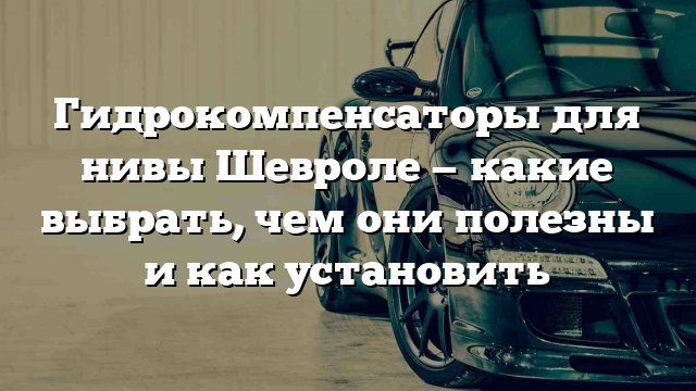 Гидрокомпенсаторы для нивы Шевроле — какие выбрать, чем они полезны и как установить