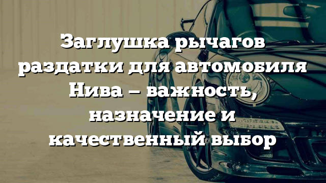 Заглушка рычагов раздатки для автомобиля Нива — важность, назначение и качественный выбор