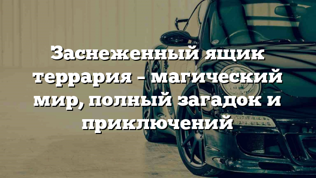 Заснеженный ящик террария – магический мир, полный загадок и приключений