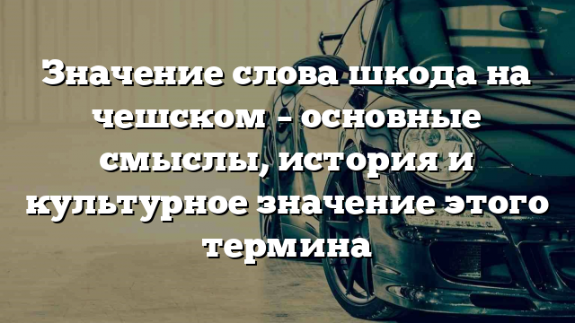 Значение слова шкода на чешском – основные смыслы, история и культурное значение этого термина