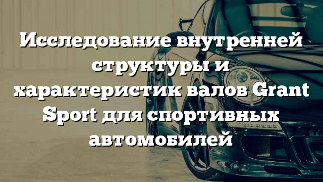 Исследование внутренней структуры и характеристик валов Grant Sport для спортивных автомобилей