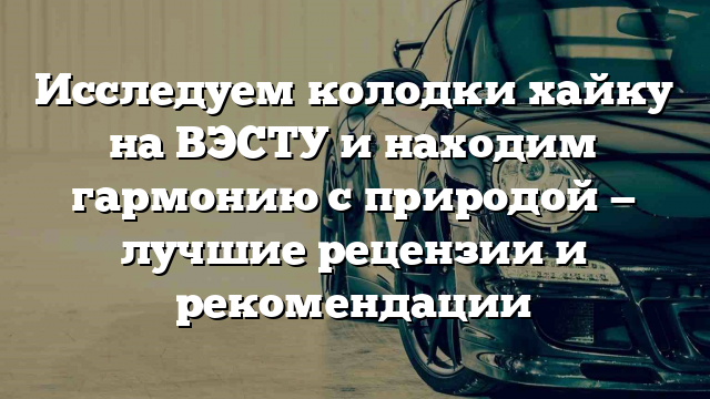 Исследуем колодки хайку на ВЭСТУ и находим гармонию с природой — лучшие рецензии и рекомендации