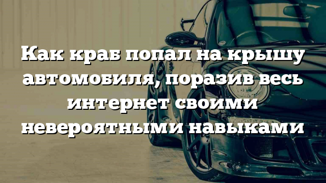 Как краб попал на крышу автомобиля, поразив весь интернет своими невероятными навыками