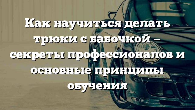 Как научиться делать трюки с бабочкой — секреты профессионалов и основные принципы обучения