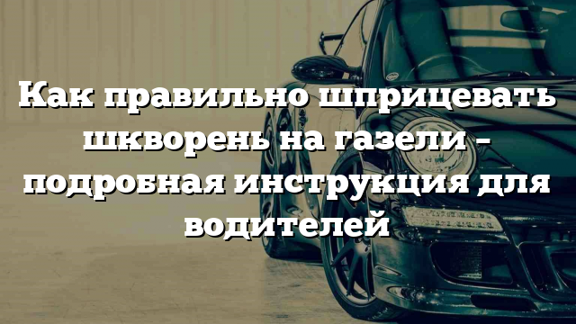 Как правильно шприцевать шкворень на газели – подробная инструкция для водителей