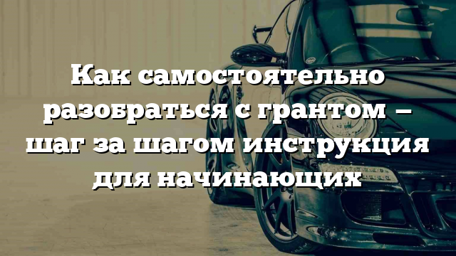 Как самостоятельно разобраться с грантом — шаг за шагом инструкция для начинающих