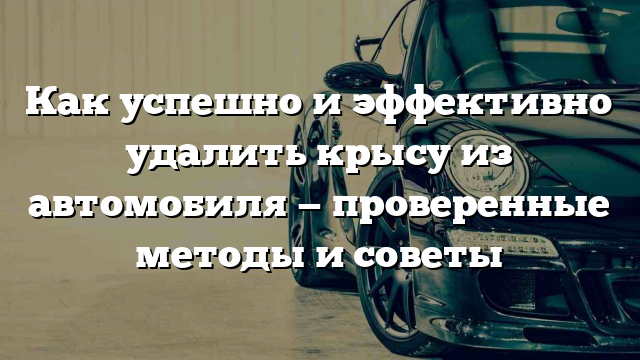 Как успешно и эффективно удалить крысу из автомобиля — проверенные методы и советы