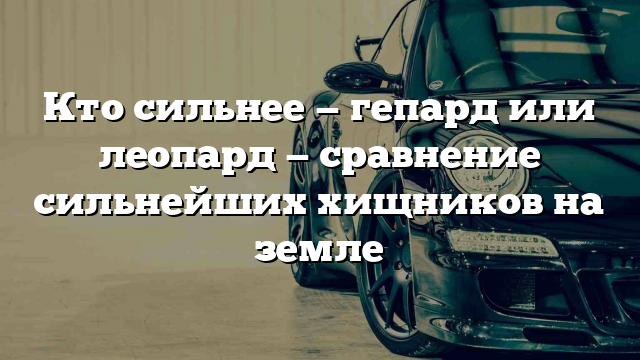 Кто сильнее — гепард или леопард — сравнение сильнейших хищников на земле