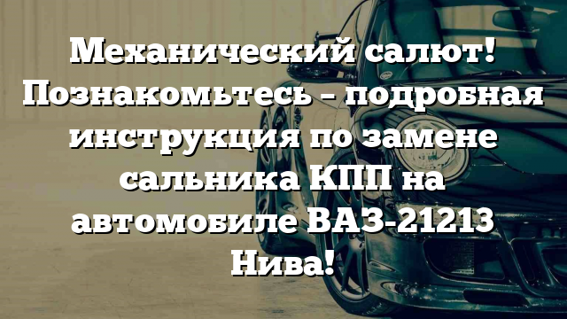 Механический салют! Познакомьтесь – подробная инструкция по замене сальника КПП на автомобиле ВАЗ-21213 Нива!