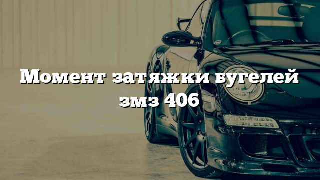 Момент затяжки бугелей змз 406