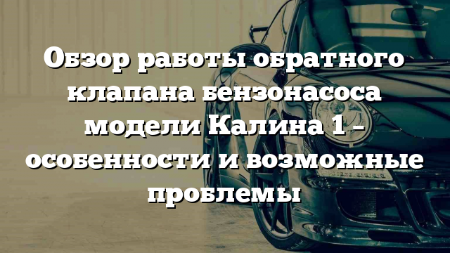 Обзор работы обратного клапана бензонасоса модели Калина 1 – особенности и возможные проблемы