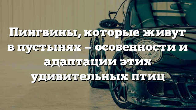 Пингвины, которые живут в пустынях — особенности и адаптации этих удивительных птиц