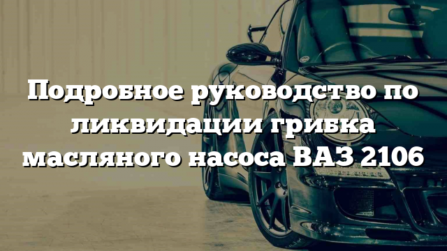 Подробное руководство по ликвидации грибка масляного насоса ВАЗ 2106