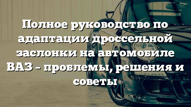 Полное руководство по адаптации дроссельной заслонки на автомобиле ВАЗ – проблемы, решения и советы