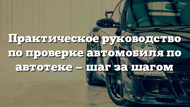 Практическое руководство по проверке автомобиля по автотеке — шаг за шагом