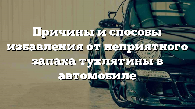 Причины и способы избавления от неприятного запаха тухлятины в автомобиле