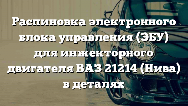 Распиновка электронного блока управления (ЭБУ) для инжекторного двигателя ВАЗ 21214 (Нива) в деталях