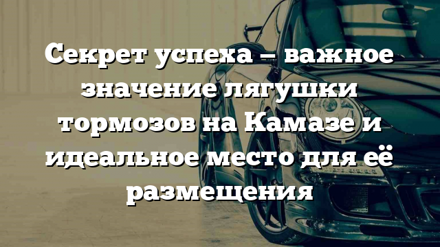 Секрет успеха — важное значение лягушки тормозов на Камазе и идеальное место для её размещения